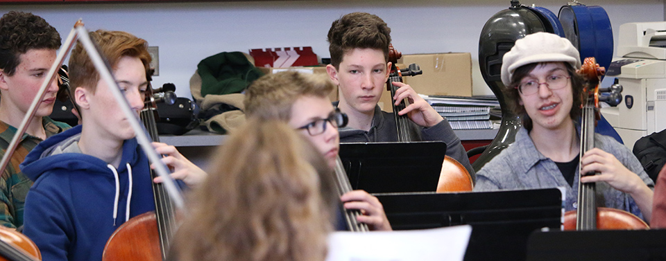 Cello Section